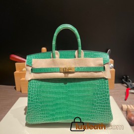 Hermes Birkin25 porous Crocodile 1L/Cactus Gold Hardware Full Handmade 003