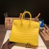 Hermes Birkin25 Crocodile Niloticus M9 / mimosa Gold Hardware Full Handmade 010