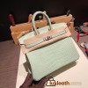 Hermès Birkin 25cm Alligator Matte Alligator Crocodile 6U/Vert Deau Silver Hardware Fully Hand-Stitched birkin25-012  