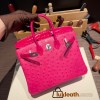 Birkin25 Ostrich& Crocodile 8T Rose Candy& 5J Fuschia Silver Hardware Full Handmade 018
