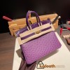 Birkin25 Ostrich &Crocodile P9/ Anemone& N5/CASSIS Gold Hardware Full Handmade 020