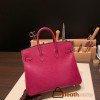 Hermes Birkin 25cm Lizard K5/Tosca Gold Hardware Full Handmade 035