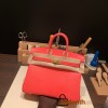 Hermes Birkin 25cm Lizard T5/Rose Jaipur Gold Hardware Full Handmade 036