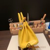Hermes Birkin 25cm Lizard 9L/CANARI Gold Hardware Full Handmade 039