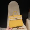 【 HERMES】Birkin 25 Togo  9D Jaune Ambre 