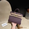【 HERMES】Birkin 25 Togo  N5 CASSIS   Gold 