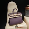 【 HERMES】Birkin 25 Togo  N5 CASSIS   Gold 