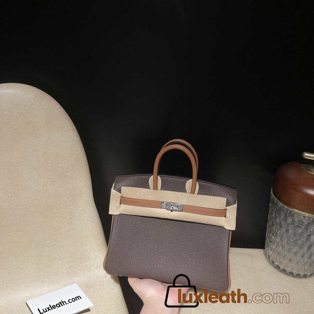 【NEW】 HERMES Birkin 25 Togo  46 Ebene   ×37 GOLD Silver