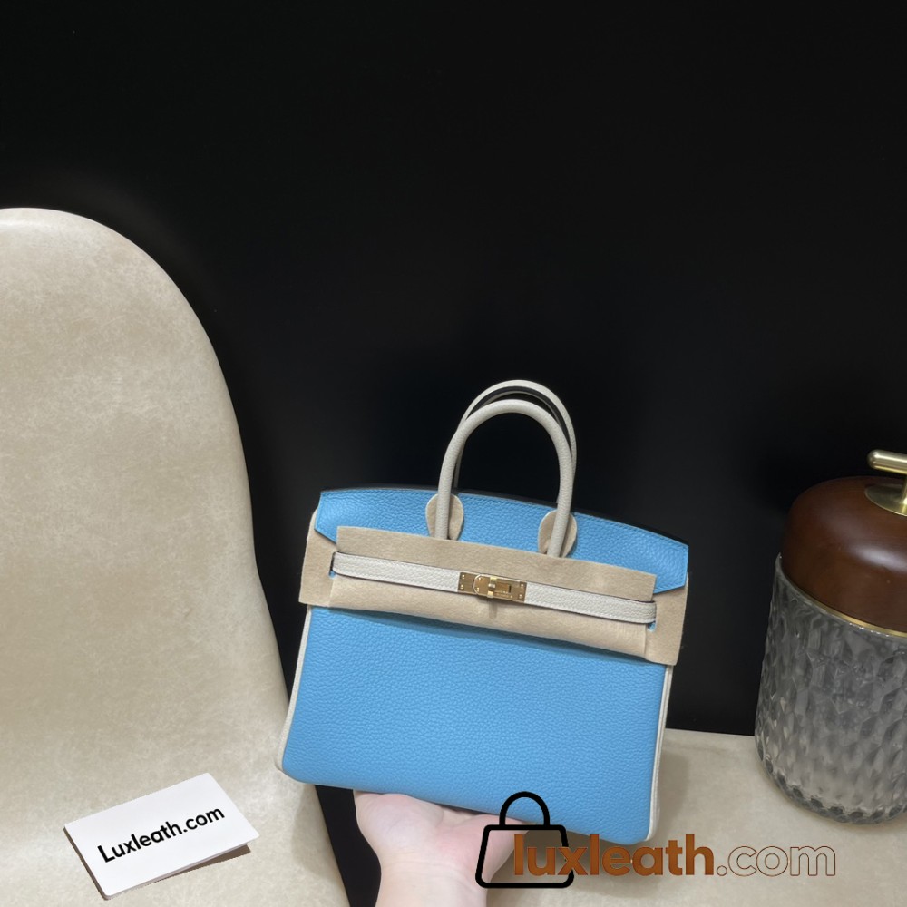【NEW】 HERMES Birkin 25 Togo  P3 Blue du Nord ×10 Craie   Gold 