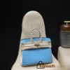 【NEW】 HERMES Birkin 25 Togo  P3 Blue du Nord ×10 Craie   Gold 
