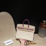 【NEW】 HERMES Birkin 25 Togo  10 Craie ×P9 Anemone    Gold 