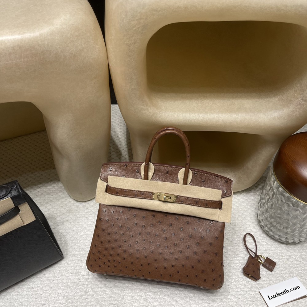 6C/Cuivre Gold Hardware Hermès Birkin Ostrich 25cm High-End Custom-Made 25 Birkin South African KK Ostrich  