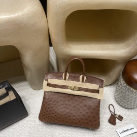 6C/Cuivre Gold Hardware Hermès Birkin Ostrich 25cm High-End Custom-Made 25 Birkin South African KK Ostrich  