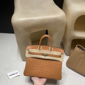 37/Gold Gold Hardware Hermès Birkin Ostrich 25cm High-End Custom-Made 25 Birkin South African KK Ostrich  