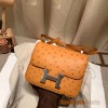 Hermes Constance 19cm ostrich 9H/ Soleil Silver Hardware 18cm Full Handmade