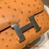 Hermes Constance 19cm ostrich 9H/ Soleil Silver Hardware 18cm Full Handmade