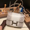 Hermes Constance 24cm Matte Crocodile Niloti 01/ Himalaya Silver Hardware 6