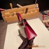 Hermes kelly20 New stock box Q5/ Rouse Casaque Gold Hardware Full Handmade kellymini-010