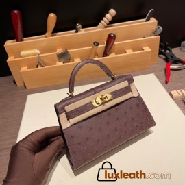Hermes kelly20 ostrich 19cm 46 /Ebene Gold Hardware Full Handmade kellymini-015