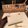 Hermes kelly20 ostrich 19cm 3C /Parchemin Gold Hardware Full Handmade kellymini-026