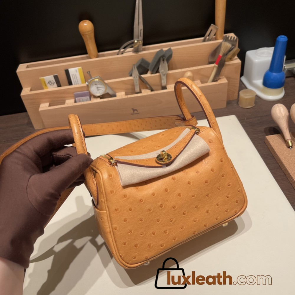 Hermes Mini Lindy Ostrich 37 /Gold Gold Hardware 001