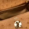 Hermes Mini Lindy Ostrich 37 /Gold Gold Hardware 001