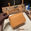 Hermes Mini Lindy Ostrich 37 /Gold Gold Hardware 001
