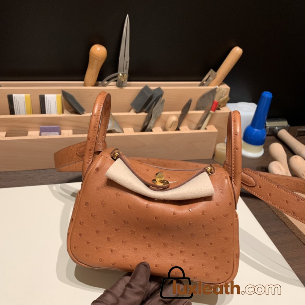 Hermes Mini Lindy Ostrich 37 /Gold Gold Hardware 002