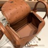 Hermes Mini Lindy Ostrich 37 /Gold Gold Hardware 002