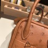 Hermes Mini Lindy Ostrich 37 /Gold Gold Hardware 002