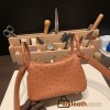 Hermes Mini Lindy Ostrich 37 /Gold Gold Hardware 002