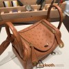Hermes Mini Lindy Ostrich 37 /Gold Gold Hardware 002