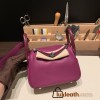 Hermes Mini Lindy touch P9 / Anemone Silver Hardware 005