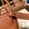 Hermes Mini Lindy Clemence 37/ Gold Silver Hardware 079