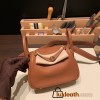 Hermes Mini Lindy Clemence 37/ Gold Gold Hardware 080