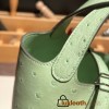 HERMES Picotin Lock 22/MM Ostrich 3I/Vert Criquet Silver Hardware