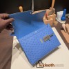 Hermès Verrou Mini 17cm Ostrich T7/Blue Hydra Silver Hardware Verrou-017 Fully Hand-Stitched